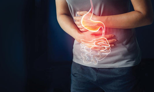 #131 Improve Organ Performance: Understanding the Importance of the Appendix and Tonsils | Immune System Support