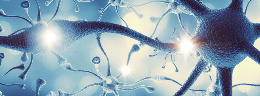 The Nervous System Reset – How to Break the Stress Loop and Heal Faster